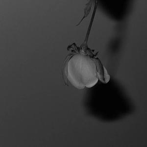 男人机巴入女人阴道啪啪啪视频
