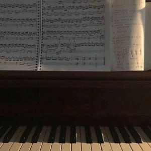 男人机巴入女人阴道啪啪啪视频
