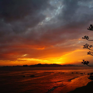 男人机巴入女人阴道啪啪啪视频
